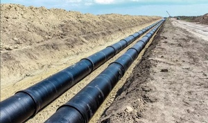 ϳ���� ��������� ���: ���� ������ �� 7 ������� �� ����������� ���������� ��������